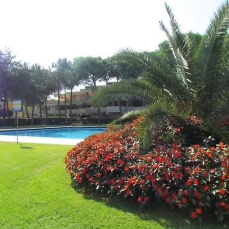 Flat With Terrace Overlooking The Pool Appartement *